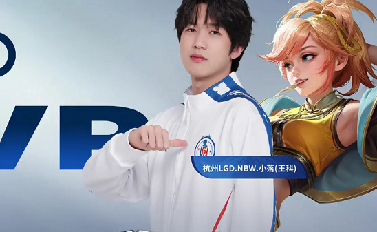 倾向的选项 倾向的选项